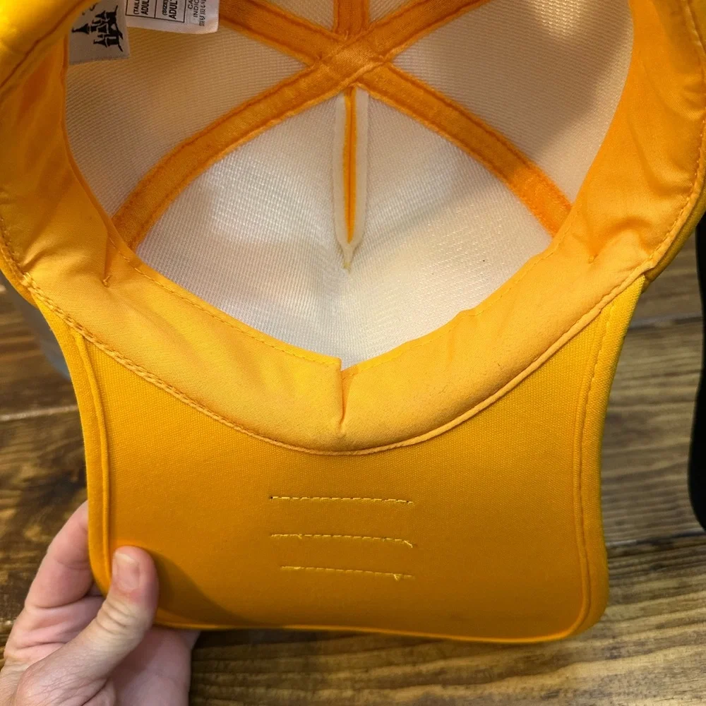 Pluto Walt Disney Parks World Pluto Long Bill Hat Wink Hang Ears Yellow Costume - Picture 6 of 6